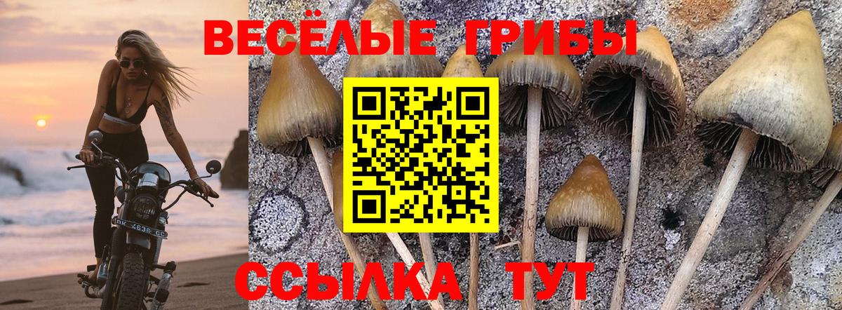 Псилоцибиновые грибы мицелий  Вход с VPN  Псилоцибиновые грибы мицелий  Миасс 