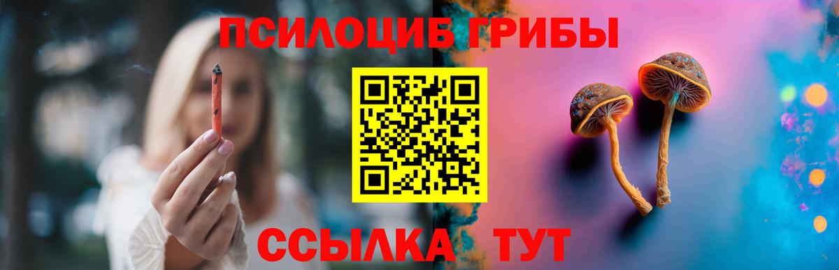 Галлюциногенные грибы Psilocybe Миасс